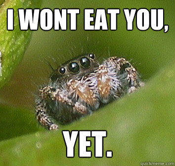 i wont eat you, yet.  Misunderstood Spider