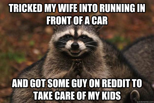 Tricked my wife into running in front of a car and got some guy on reddit to take care of my kids  - Tricked my wife into running in front of a car and got some guy on reddit to take care of my kids   Evil Plotting Raccoon