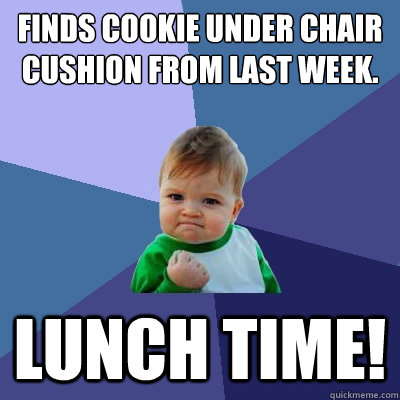 Finds cookie under chair cushion from last week. lunch time!  Success Kid