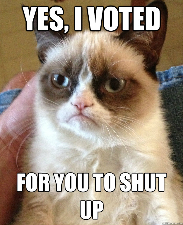 Yes, I voted for you to shut up  Grumpy Cat