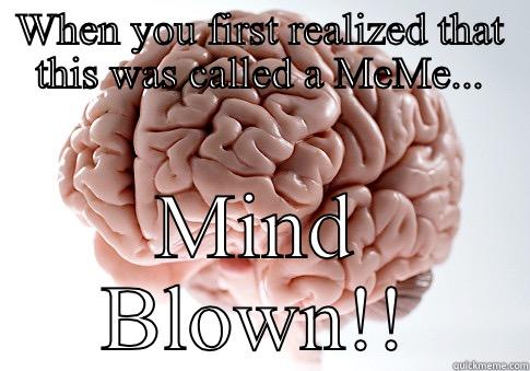 WHEN YOU FIRST REALIZED THAT THIS WAS CALLED A MEME... MIND BLOWN!! Scumbag Brain