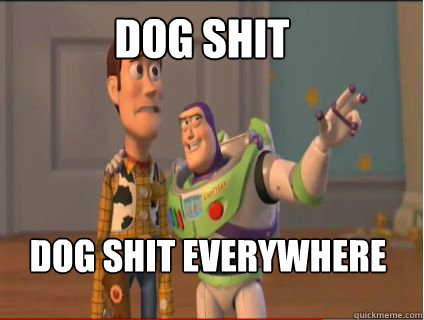 Dog shit dog shit everywhere  woody and buzz