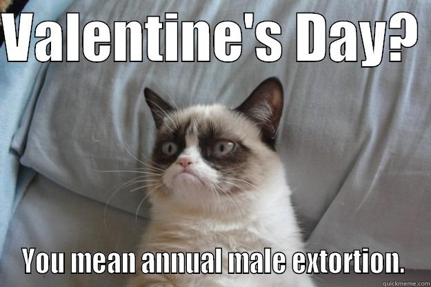 VALENTINE'S DAY?  YOU MEAN ANNUAL MALE EXTORTION. Grumpy Cat