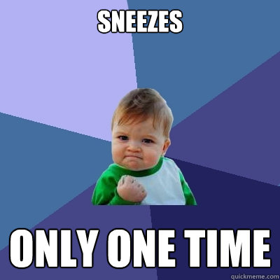 sneezes Only one time  Success Kid