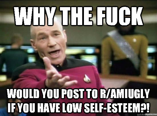 Why the fuck would you post to r/amiugly if you have low self-esteem?!  Annoyed Picard HD