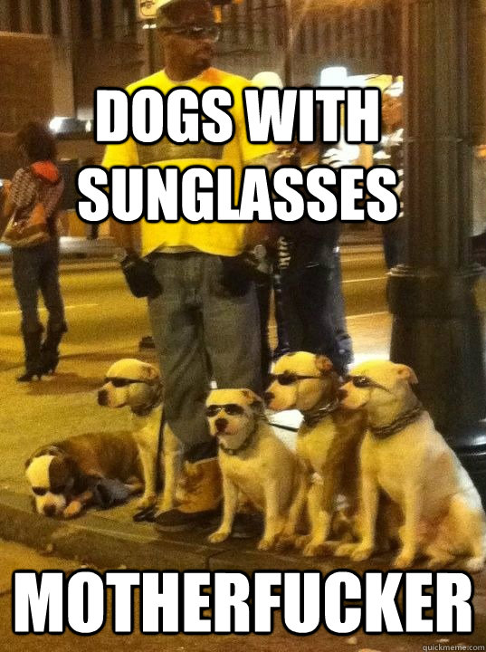 dogs with sunglasses Motherfucker - dogs with sunglasses Motherfucker  Coolest dude alive