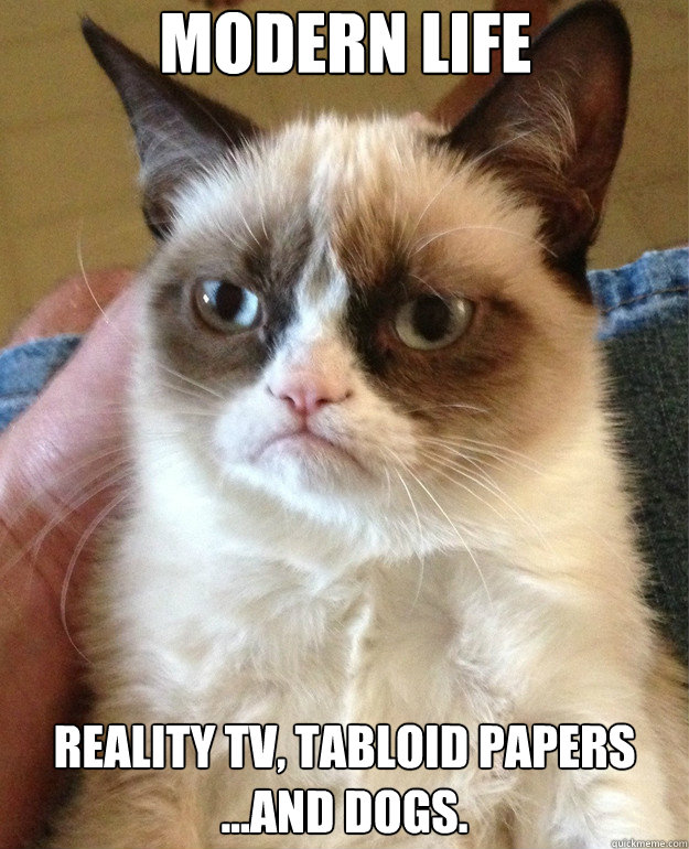 Modern life Reality TV, Tabloid papers
...and dogs.  Grumpy Cat