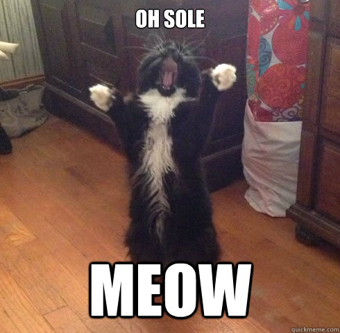 OH Sole Meow  Opera Cat