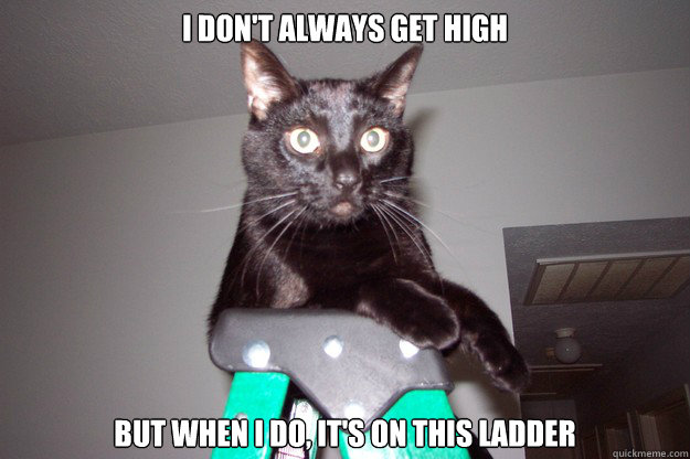 I Don't Always Get High But When I Do, It's On This Ladder  