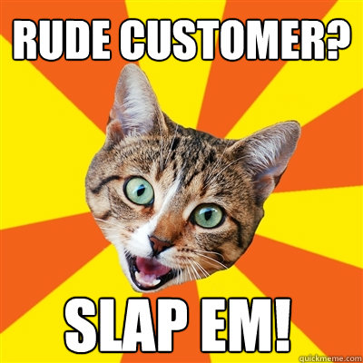 rude customer? slap em!  Bad Advice Cat