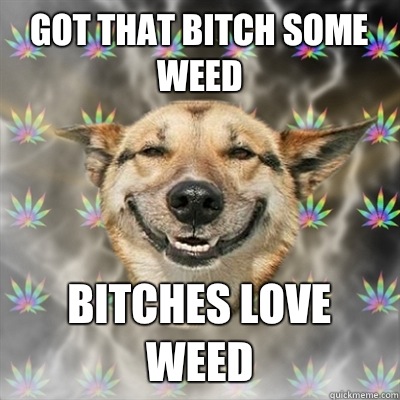 Got that bitch some weed Bitches love weed  Stoner Dog