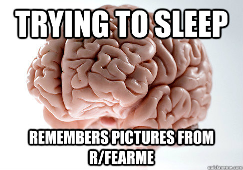 Trying to sleep Remembers pictures from r/fearme  Scumbag Brain