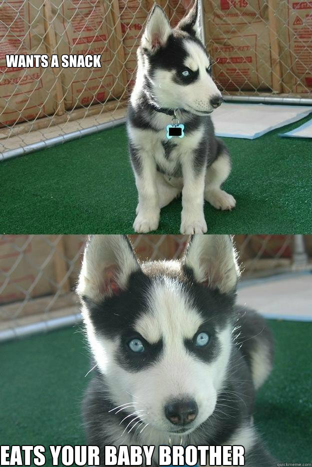 Wants a snack eats your baby brother  Insanity puppy