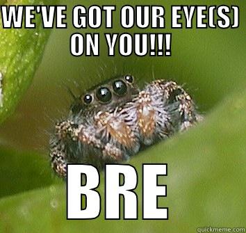 WE'VE GOT OUR EYE(S) ON YOU!!! BRE Misunderstood Spider