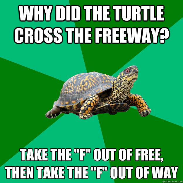 why did the turtle cross the freeway? take the 