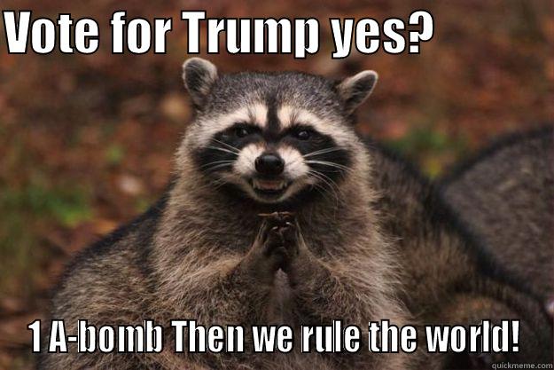 VOTE FOR TRUMP YES?             1 A-BOMB THEN WE RULE THE WORLD! Evil Plotting Raccoon