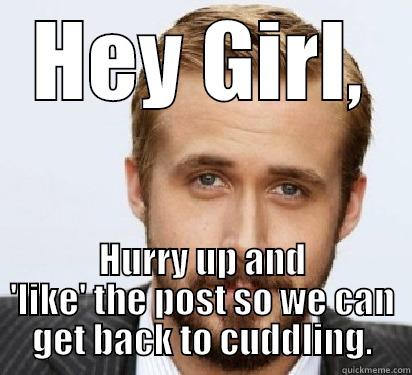 Let's cuddle - HEY GIRL, HURRY UP AND 'LIKE' THE POST SO WE CAN GET BACK TO CUDDLING. Good Guy Ryan Gosling