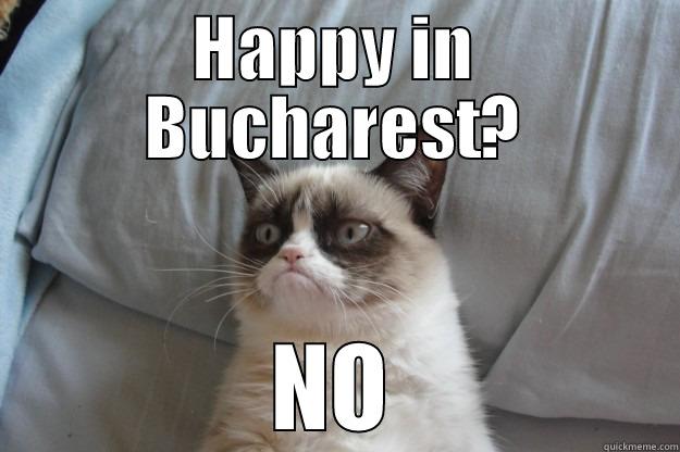 HAPPY IN BUCHAREST? NO Grumpy Cat