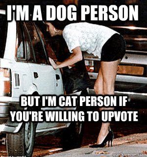 I'm a dog person But i'm cat person if you're willing to upvote  Karma Whore