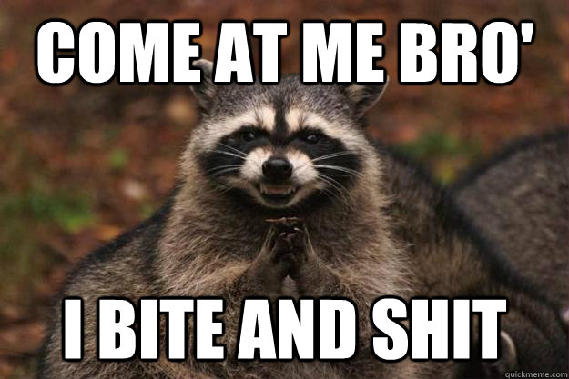 Come at me bro' I bite and shit - Come at me bro' I bite and shit  Evil Plotting Raccoon