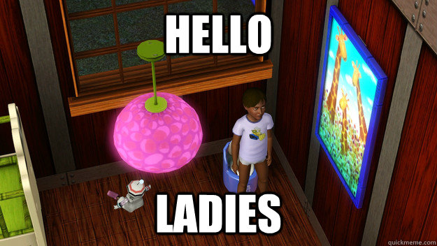 Hello Ladies - Hello Ladies  evil kid sim