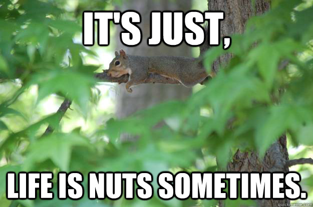 It's just, Life is nuts sometimes. - It's just, Life is nuts sometimes.  Misc