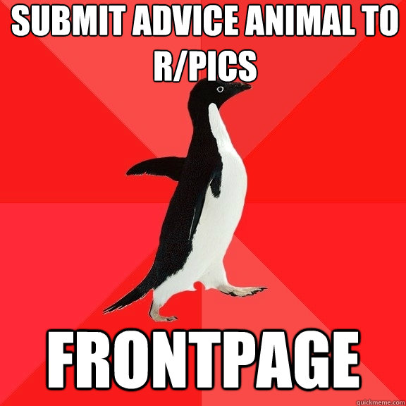 Submit advice animal to r/pics frontpage  Socially Awesome Penguin