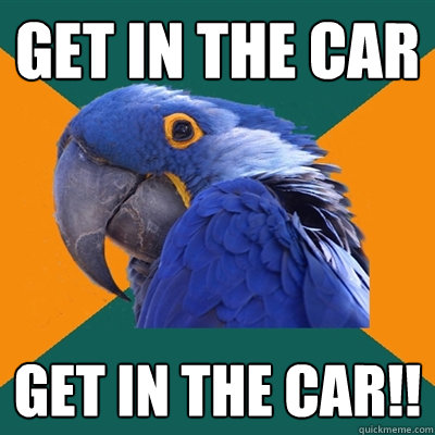 get in the car GET IN THE CAR!!  Paranoid Parrot