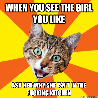 When you see the girl you like ask her why she isn't in the fucking kitchen  Bad Advice Cat