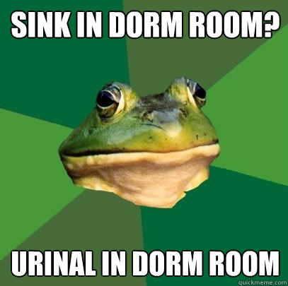 Sink in dorm room? Urinal in dorm room  Foul Bachelor Frog