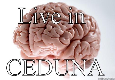 LIVE IN  CEDUNA Scumbag Brain