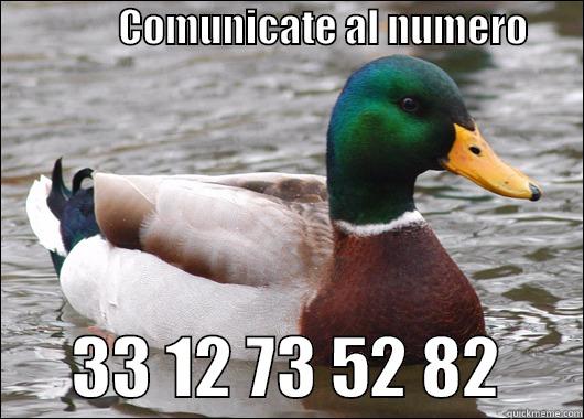                COMUNICATE AL NUMERO                               33 12 73 52 82      Actual Advice Mallard