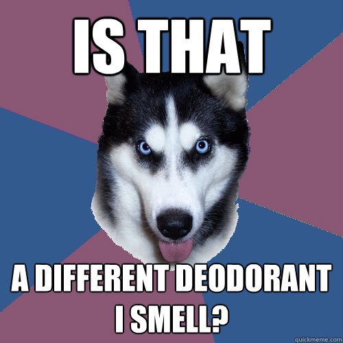 is that  a different deodorant i smell? - is that  a different deodorant i smell?  Creeper Canine