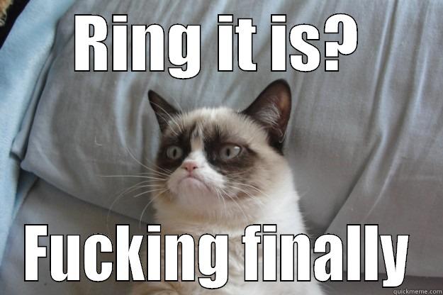 RING IT IS? FUCKING FINALLY Grumpy Cat