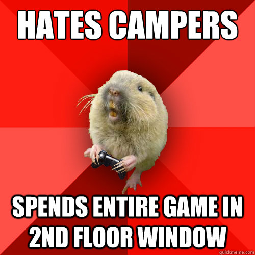 Hates Campers Spends entire game in 2nd floor window  Gaming Gopher