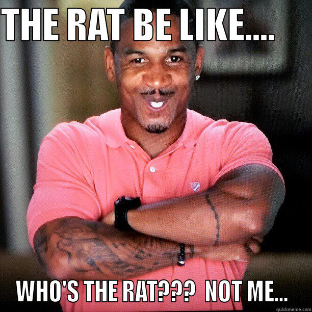 THE RAT BE LIKE... - THE RAT BE LIKE....      WHO'S THE RAT???  NOT ME...  Misc