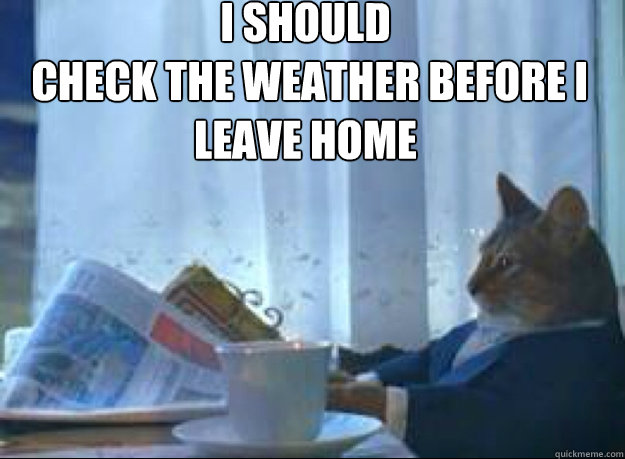 I should
 check the weather before I leave home   I should buy a boat cat