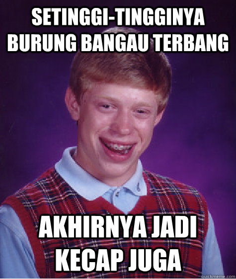 Setinggi-tingginya burung bangau terbang akhirnya jadi kecap juga - Setinggi-tingginya burung bangau terbang akhirnya jadi kecap juga  Bad Luck Brian