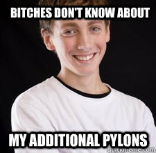 Bitches don't know about my additional pylons  High School Freshman