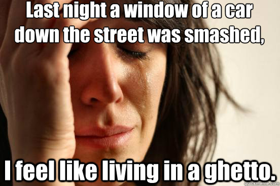 Last night a window of a car down the street was smashed,  I feel like living in a ghetto.   First World Problems