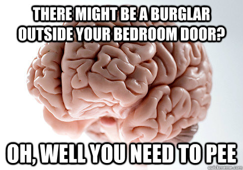 There might be a burglar outside your bedroom door? Oh, well you need to pee   Scumbag Brain