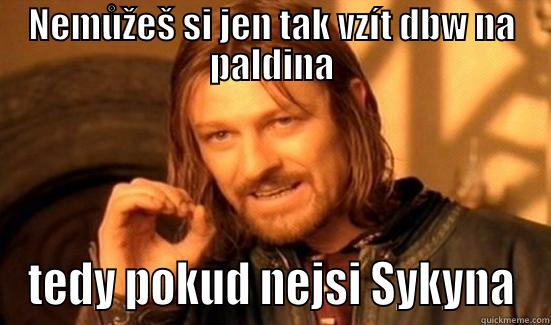 syky a dbw verze 2 - NEMŮŽEŠ SI JEN TAK VZÍT DBW NA PALDINA TEDY POKUD NEJSI SYKYNA Boromir