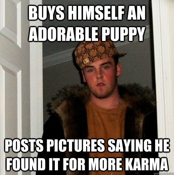 Buys himself an adorable puppy posts pictures saying he found it for more karma  Scumbag Steve