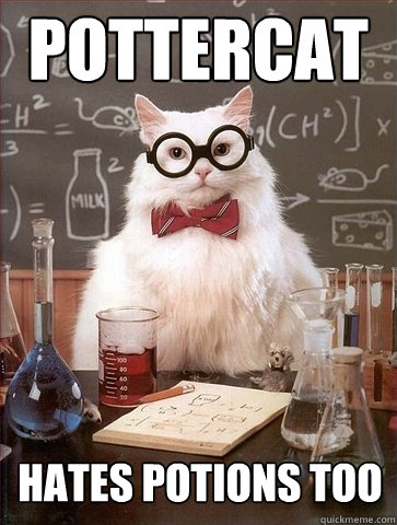 Pottercat hates potions too  Chemistry Cat