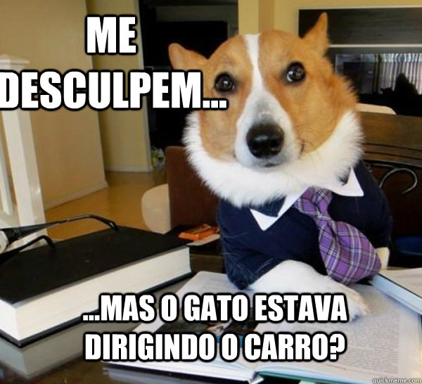 Me desculpem... ...mas o gato estava dirigindo o carro?  Lawyer Dog