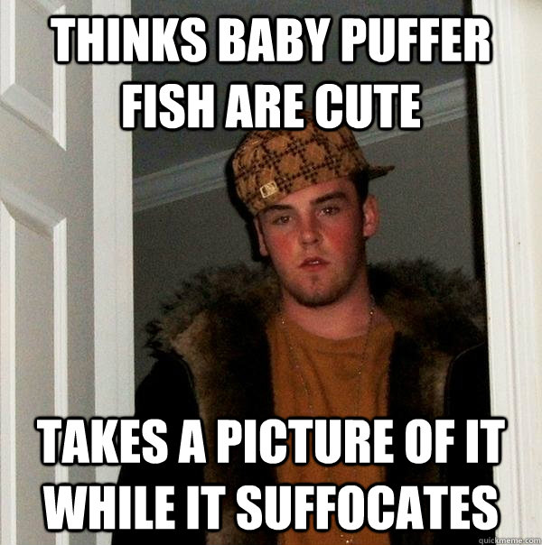 Thinks baby puffer fish are cute Takes a picture of it while it suffocates  Scumbag Steve