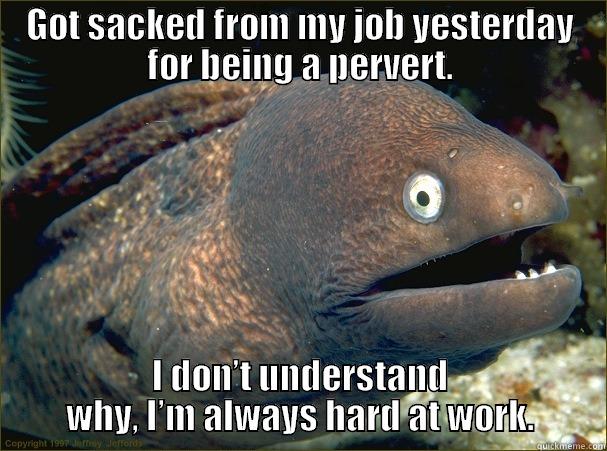 Dangers of a good work ethic - GOT SACKED FROM MY JOB YESTERDAY FOR BEING A PERVERT. I DON’T UNDERSTAND WHY, I’M ALWAYS HARD AT WORK. Bad Joke Eel