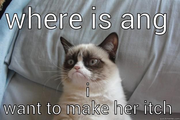 WHERE IS ANG I WANT TO MAKE HER ITCH Grumpy Cat