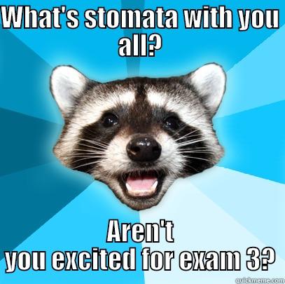 What's stomata? - WHAT'S STOMATA WITH YOU ALL? AREN'T YOU EXCITED FOR EXAM 3? Lame Pun Coon