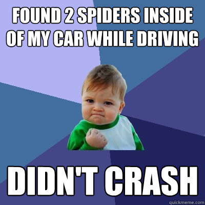 Found 2 spiders inside of my car while driving Didn't crash  Success Kid